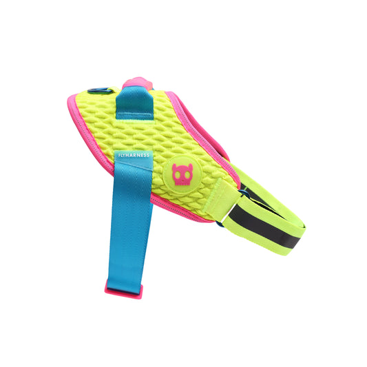 Cmyk Flyharness